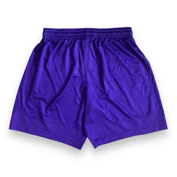 Nike Purple Swoosh Striped Athletic Workout Sports Shorts - Picture 2 of 16